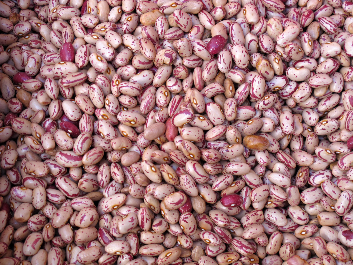 Alubia Pinta