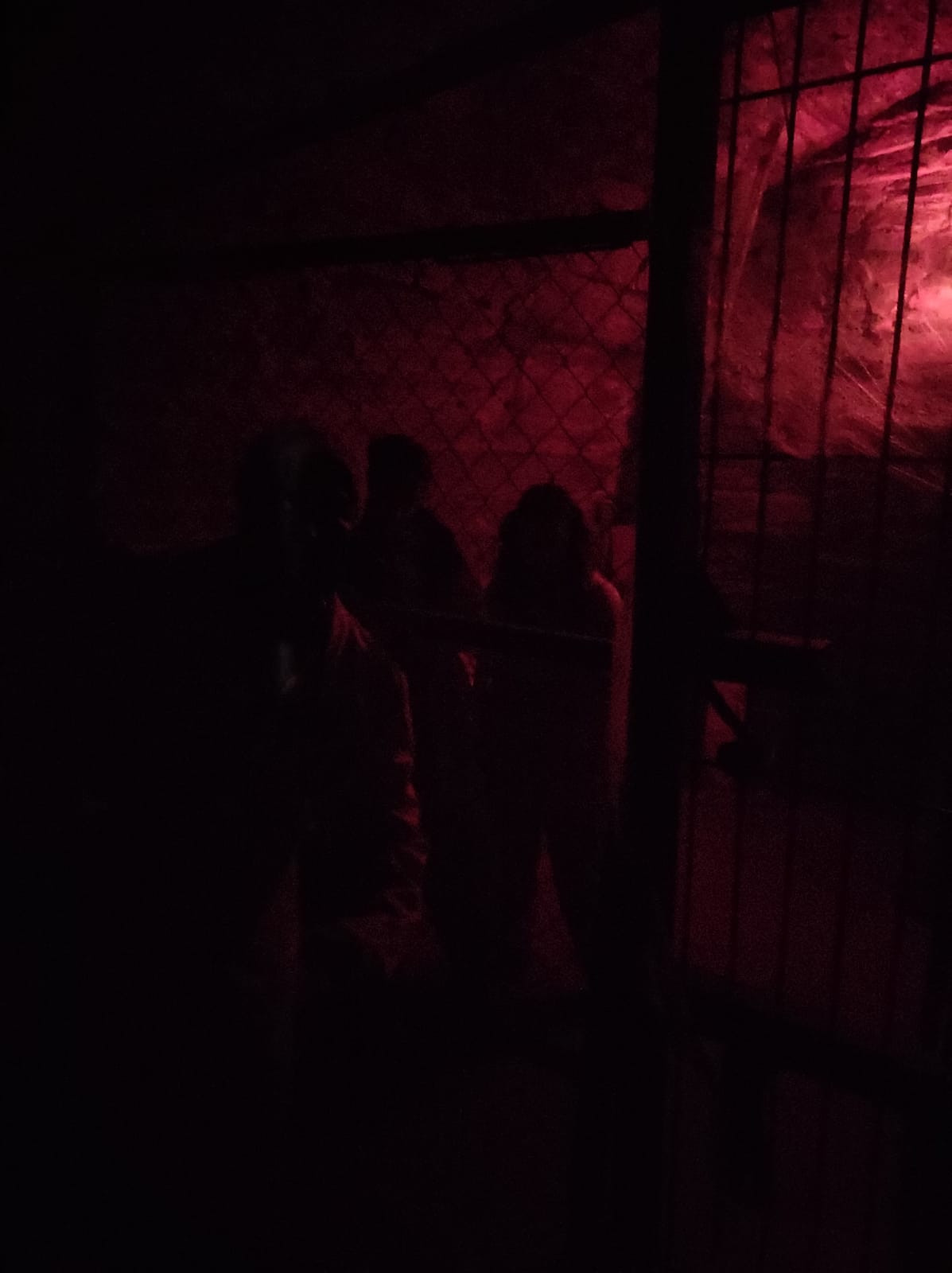 TunelTerror1