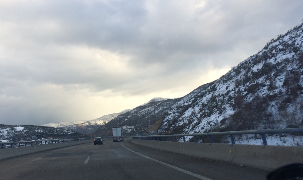 IMG 7175