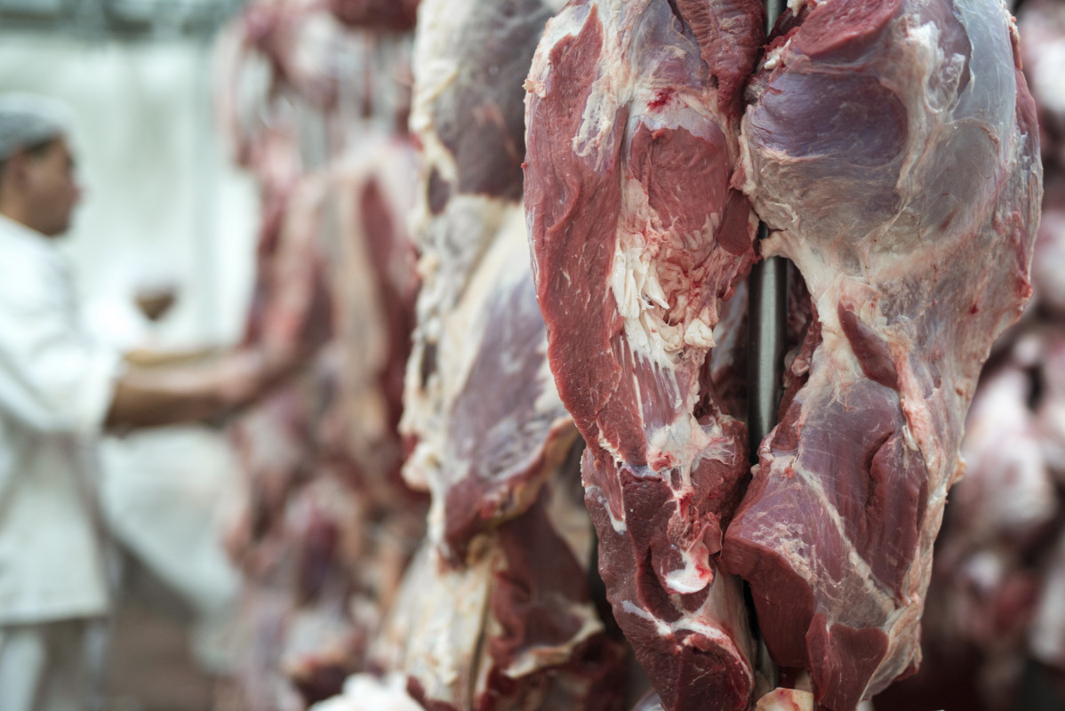 Vacuno Carne