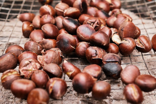 Chestnuts are roasted grill hot sand seasonal food delicious chestnuts wine autumn harvest selective focus nuts