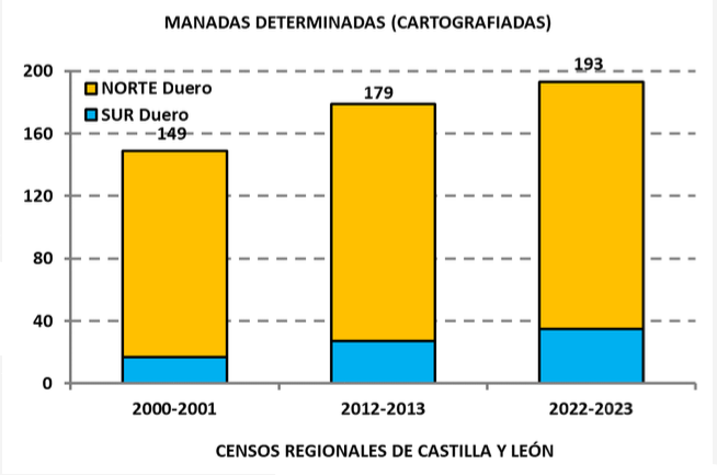 Evolucion Lobo