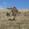Hunt 4626683 1280