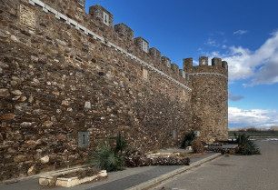 Palmeras Castillo Alija