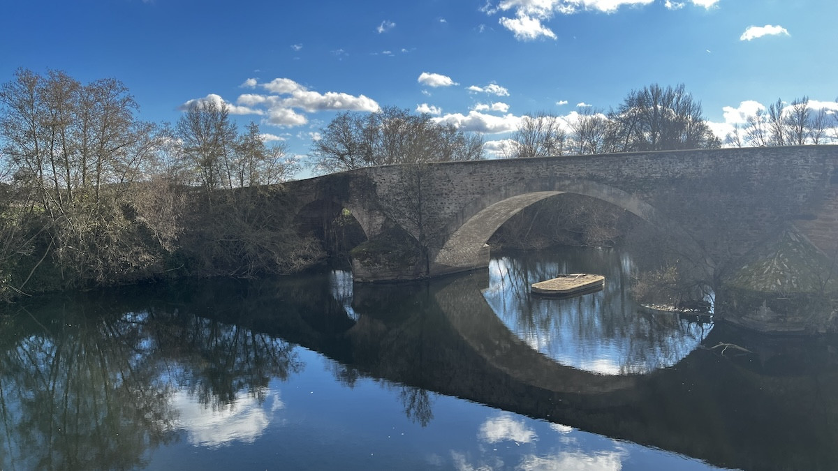 Vizana Coomonte Portada