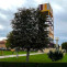 Imagen editada