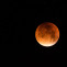 Eclipse luna