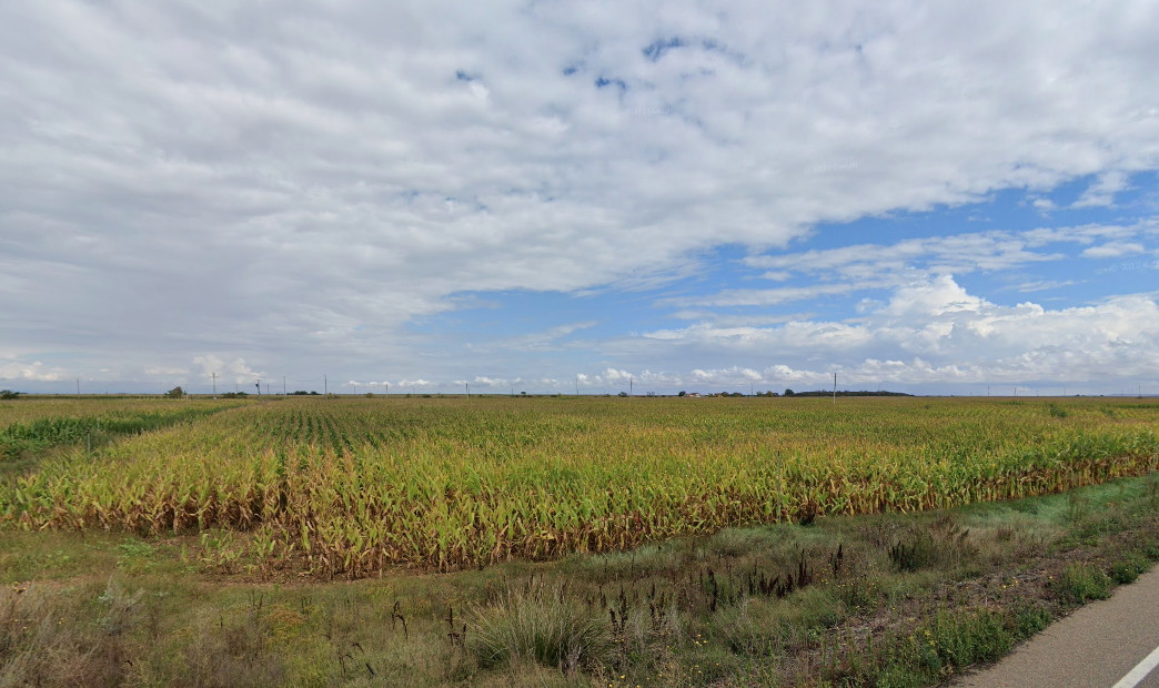 Paramo Bajo
