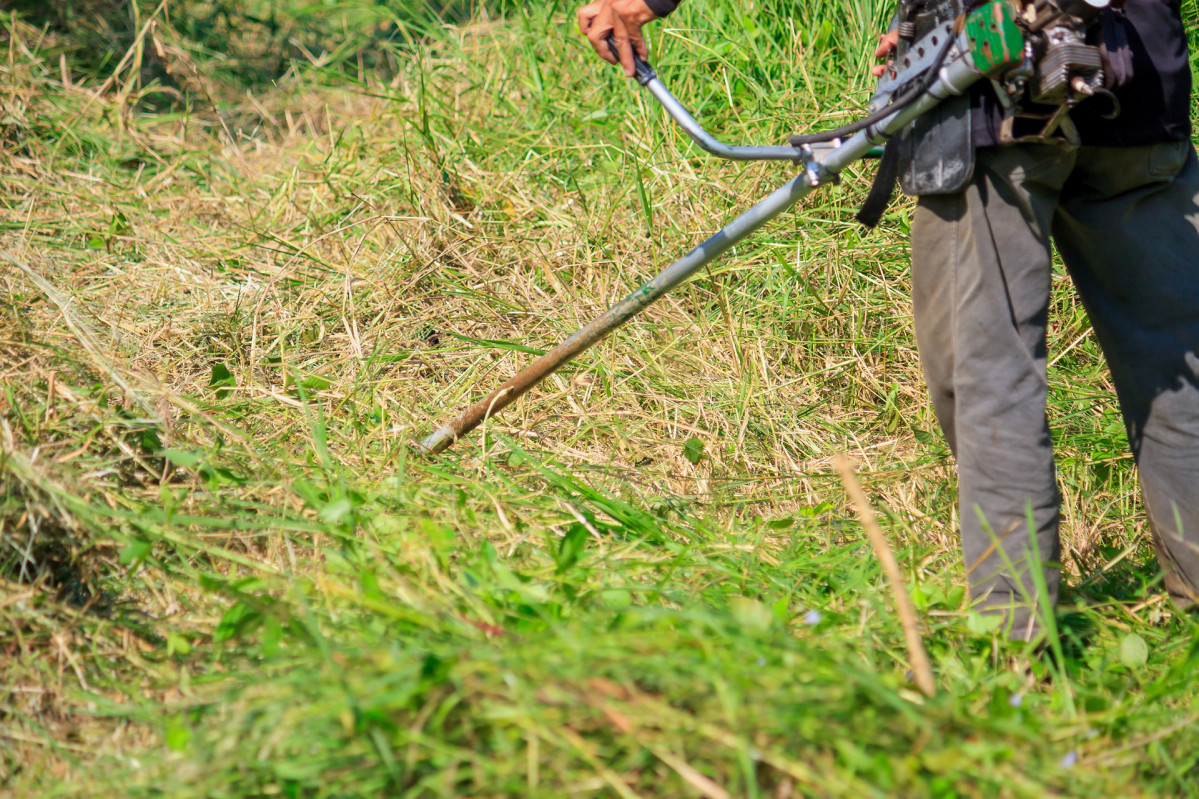 Medium worker mowing the grass