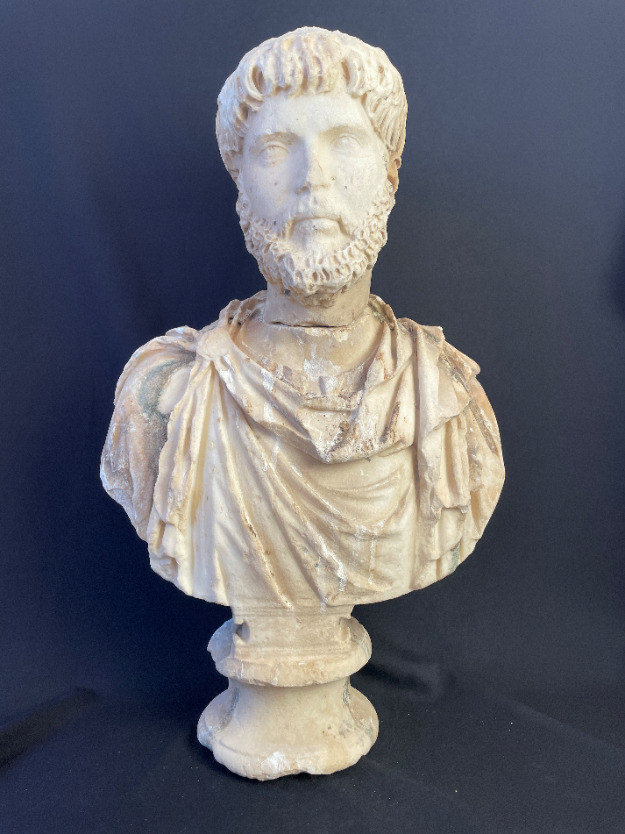 Busto museos