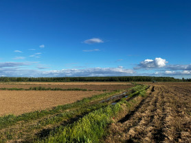 Navianos