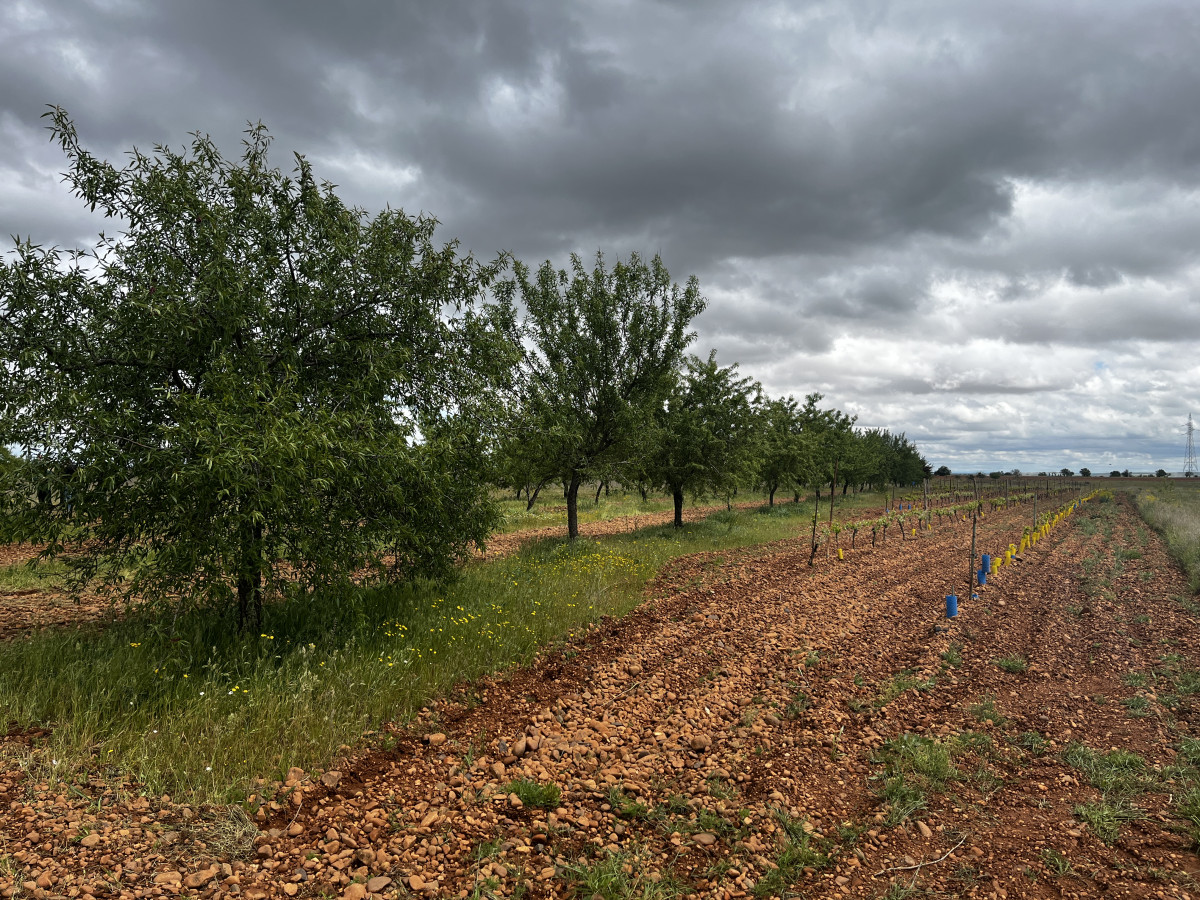 Foto 1 5 25, 12 34 44