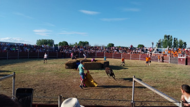 WhatsApp Image 2025 07 09 at 22.02.34