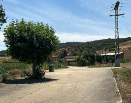 Foto 23 7 25, 15 14 03