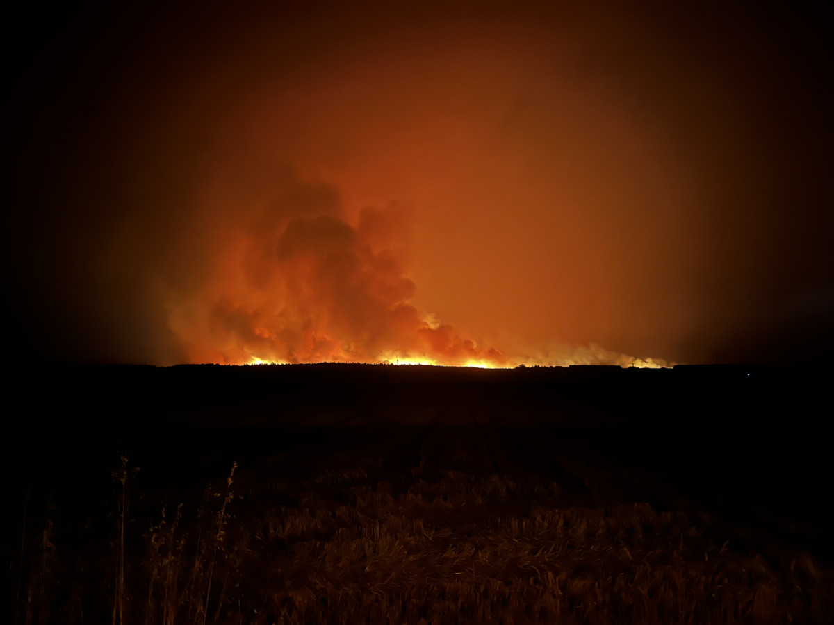 Foto 11 8 25, 22 27 52