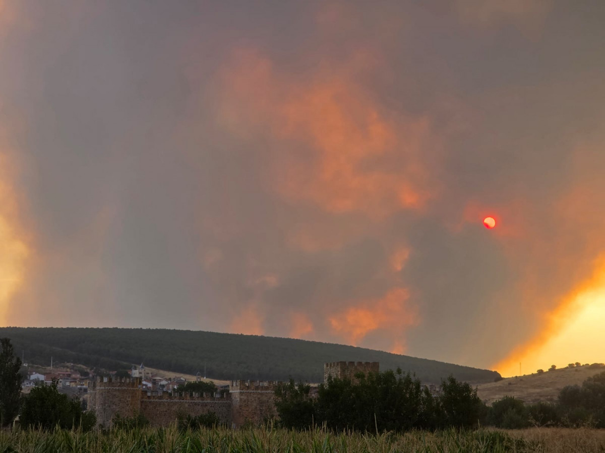 Foto 11 8 25, 20 33 11