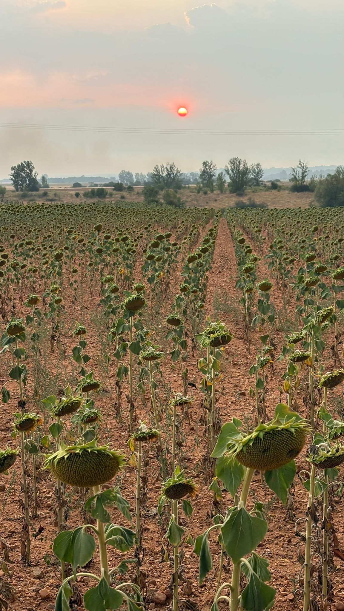 PHOTO 2025 08 15 11 54 02
