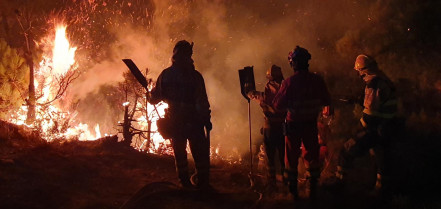 PHOTO 2025 08 14 19 09 58