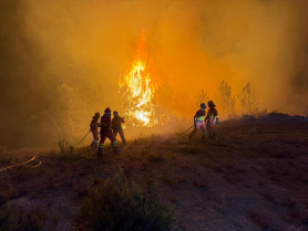 PHOTO 2025 08 14 19 09 57