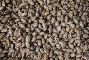 Pexels arina krasnikova 6316676