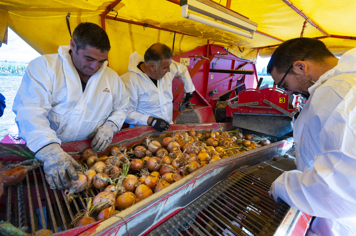 Feria de la cebolla  (5)