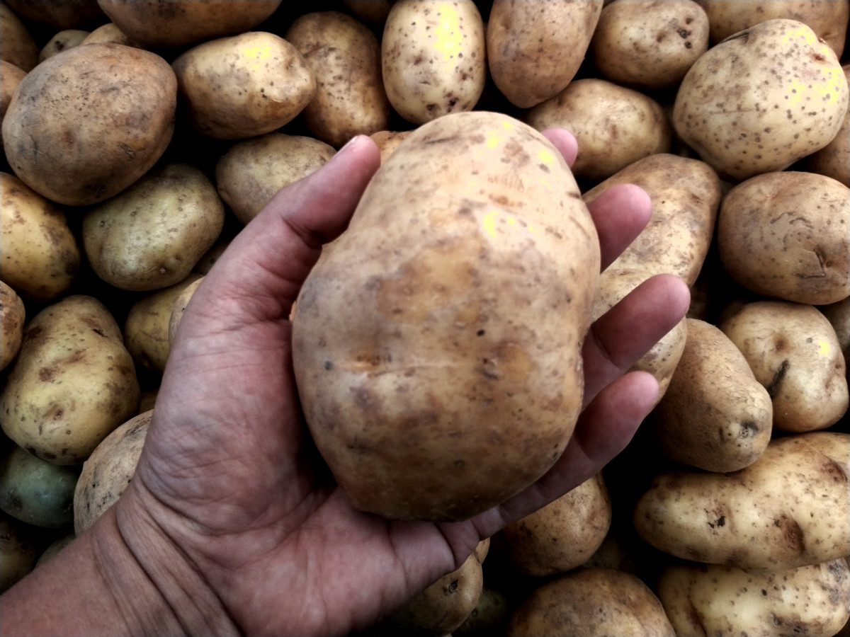 Patatas1