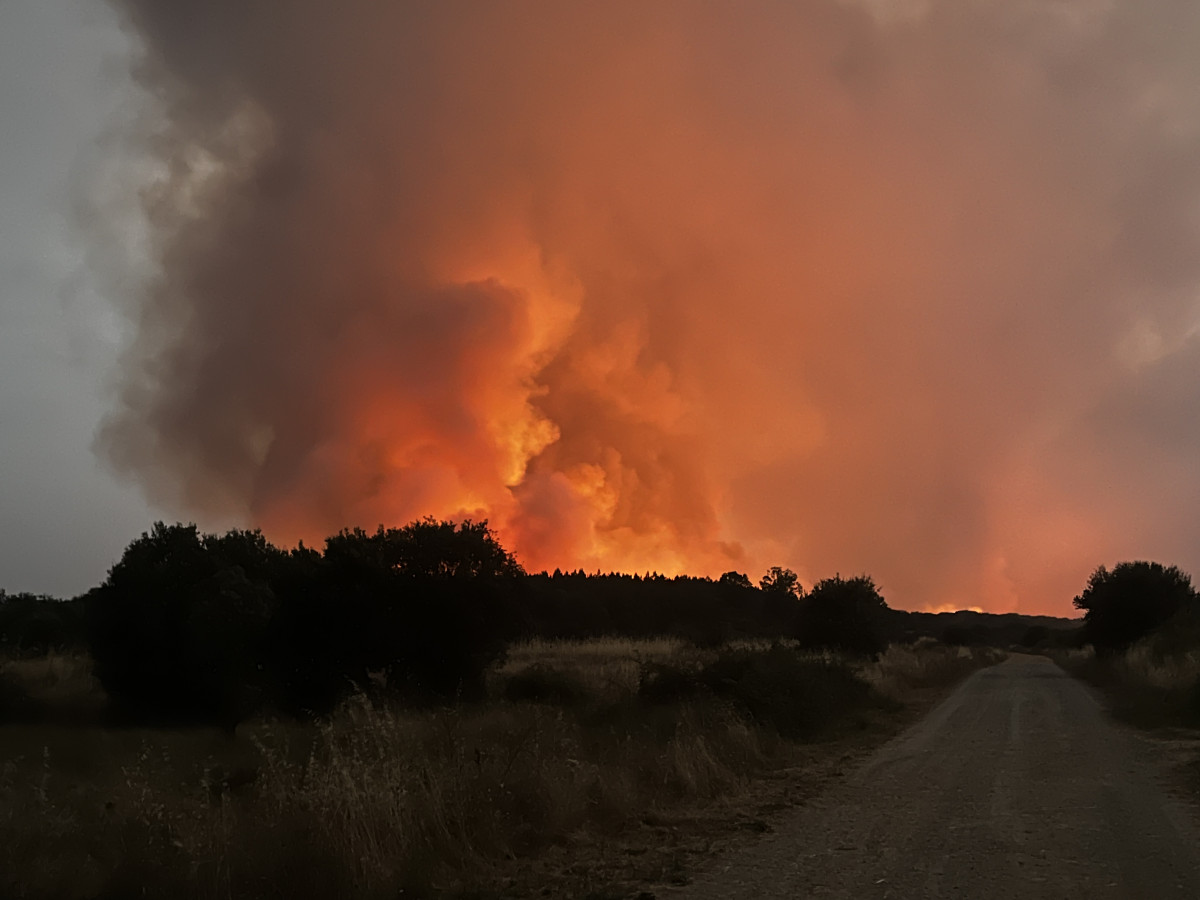 Incenfiosanesteban11agosto