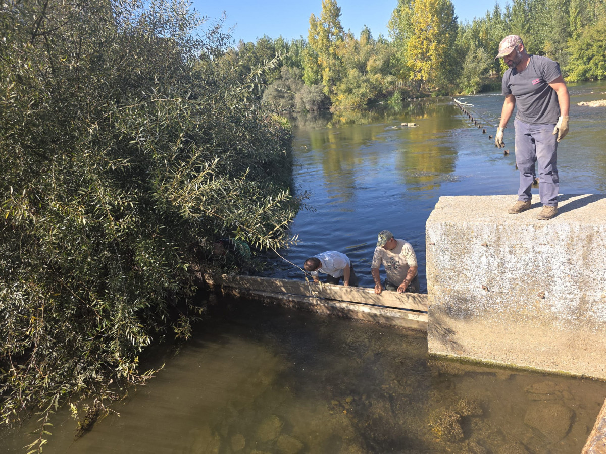 PHOTO 2025 09 30 16 44 53