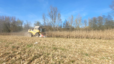 A1dbf960 a60e 4297 bae9 3bd7d2fd9e9f