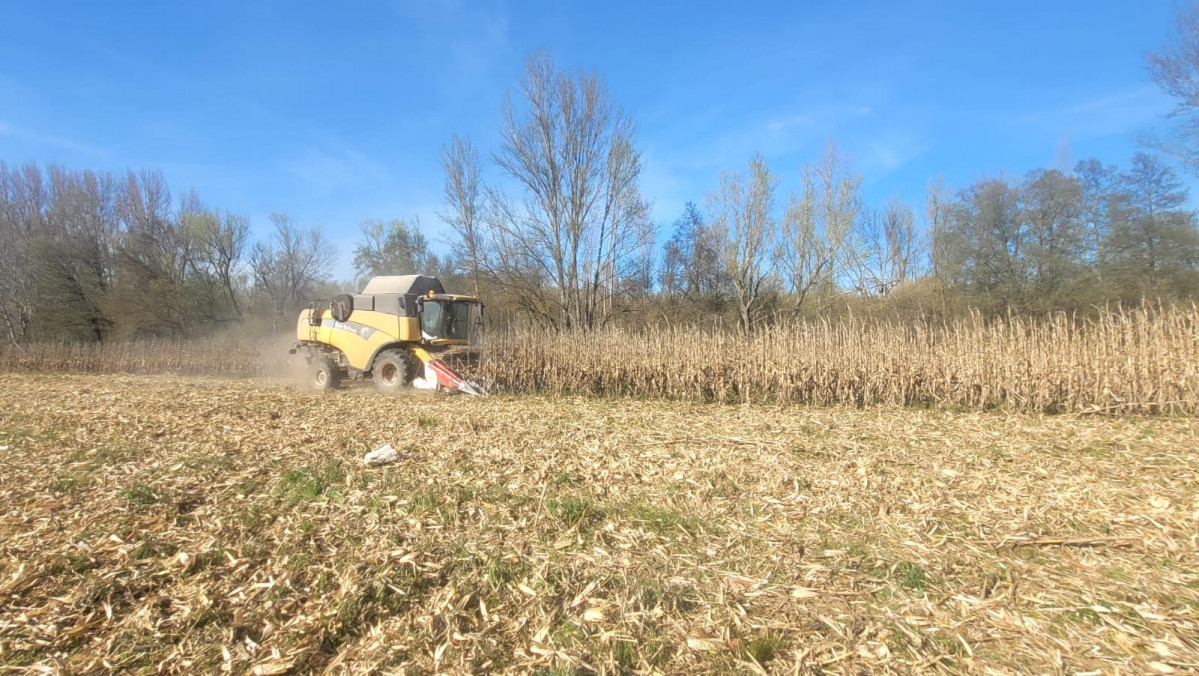 A1dbf960 a60e 4297 bae9 3bd7d2fd9e9f