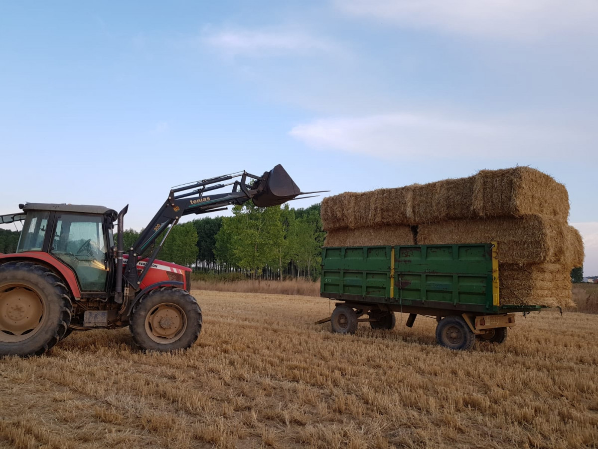 PHOTO 2018 09 04 20 17 47