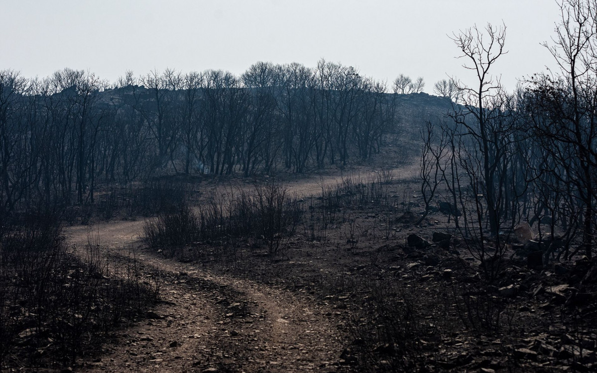 Foto 17 10 25, 21 34 53