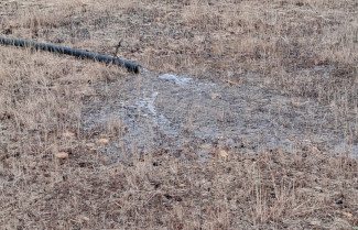 Foto 27 10 25, 22 36 55 (3)