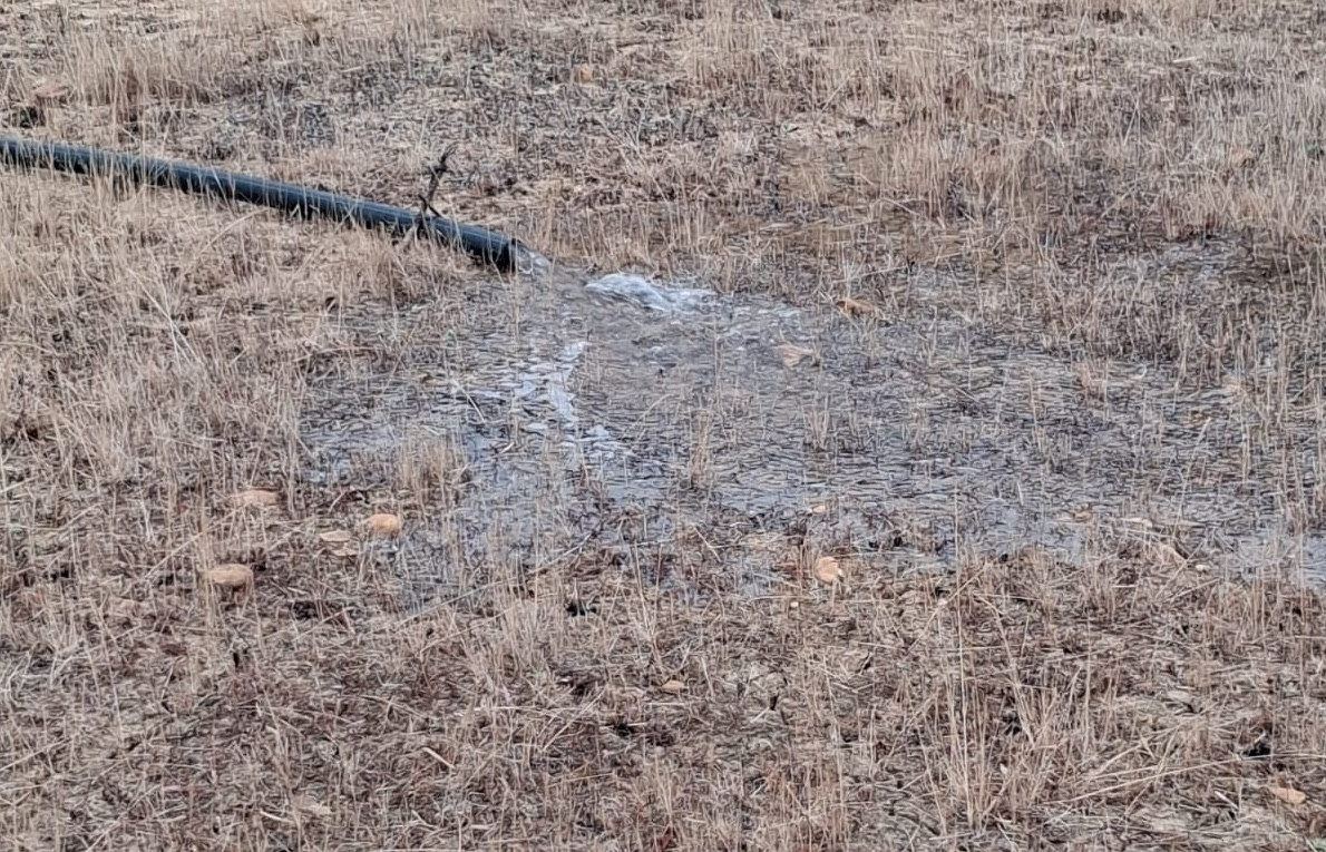 Foto 27 10 25, 22 36 55 (3)