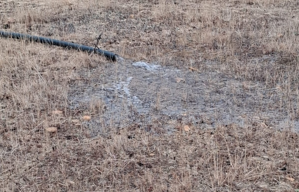 Foto 27 10 25, 22 36 55 (3)