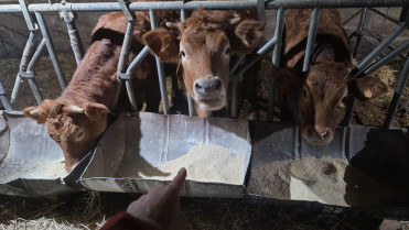 WhatsApp Image 2025 10 29 at 21.24.16