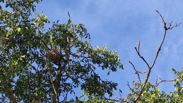 WhatsApp Image 2025 10 30 at 15.38.50