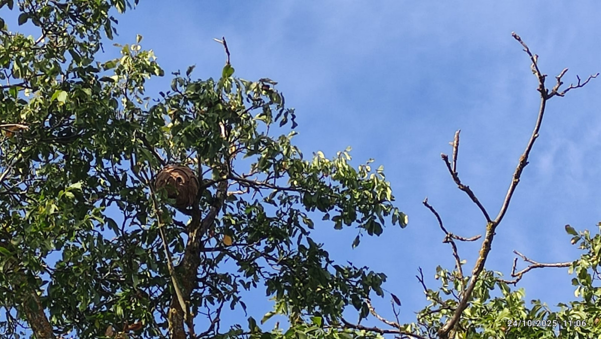 WhatsApp Image 2025 10 30 at 15.38.50