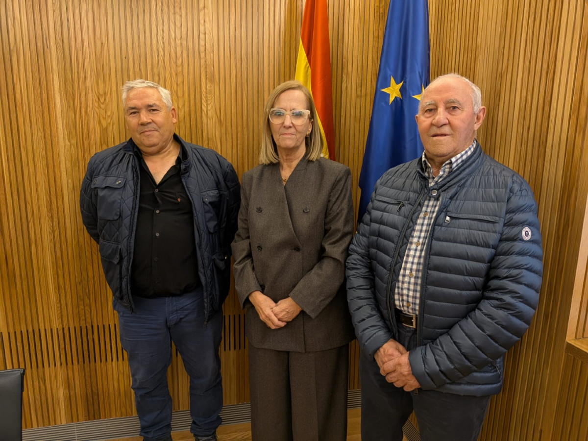 559250388 1257251636447162 4586685376126939776 n