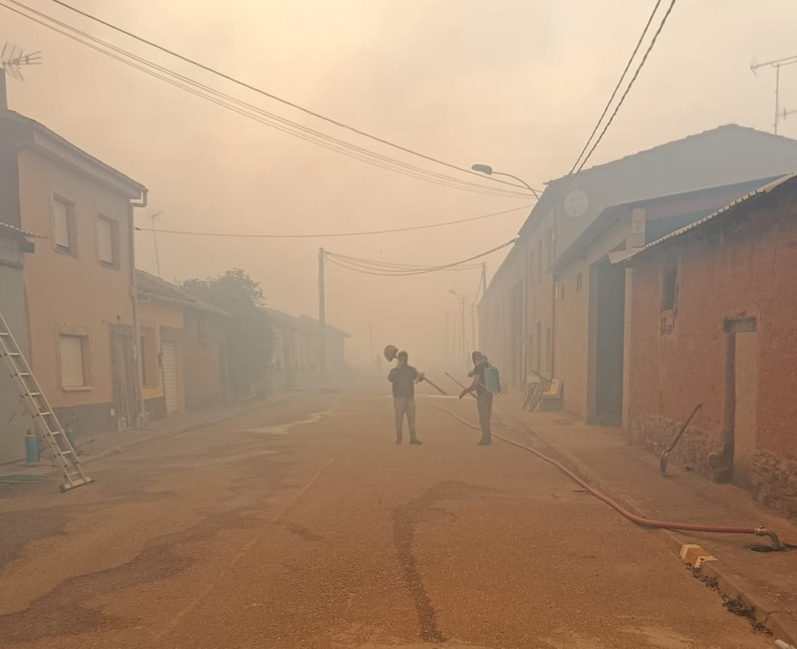 WhatsApp Image 2025 08 14 at 00.22.05