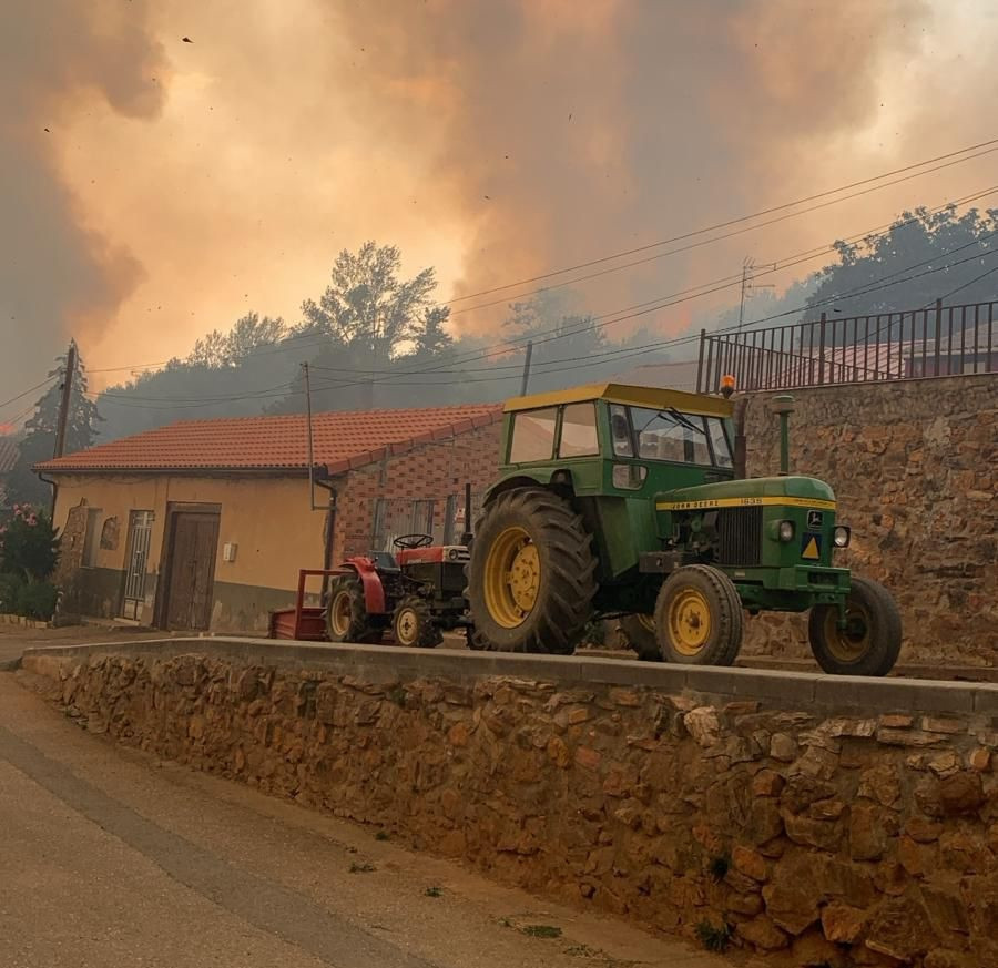 WhatsApp Image2025 08 13 at 21.39.24