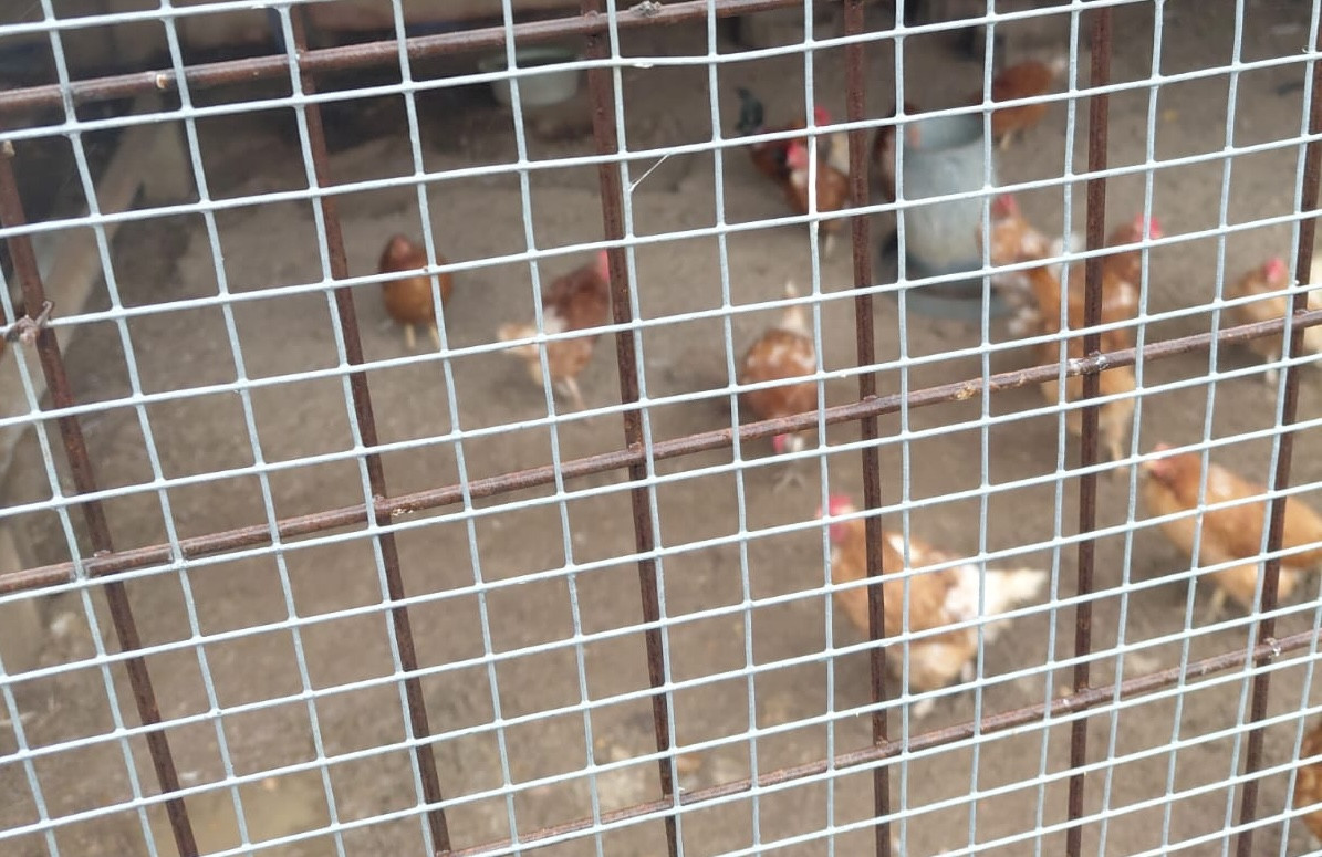 WhatsApp Image 2025 11 14 at 13.19.31