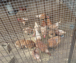 WhatsApp Image 2025 11 14 at 13.19.30