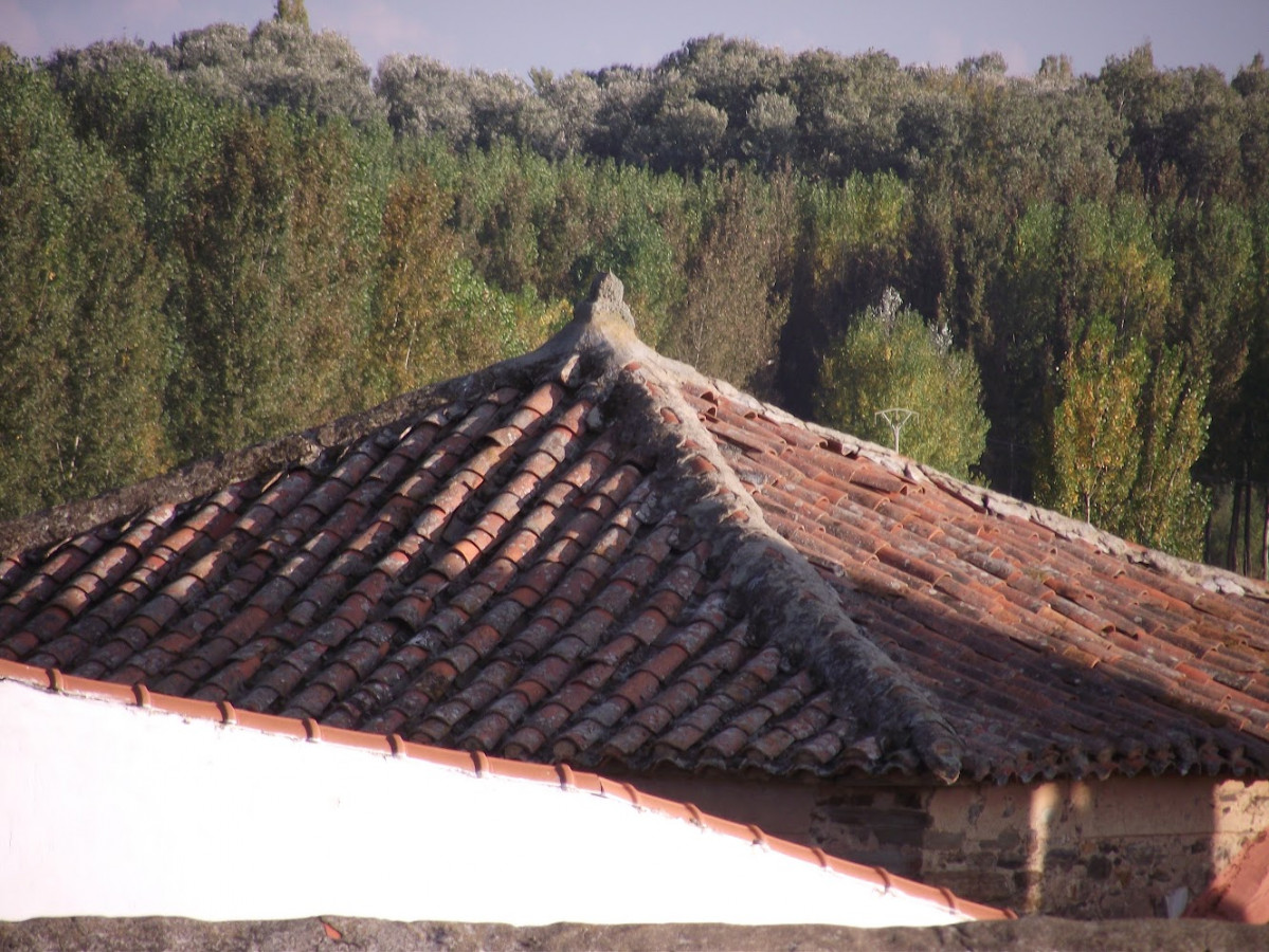 Torre cimborrio gilesia
