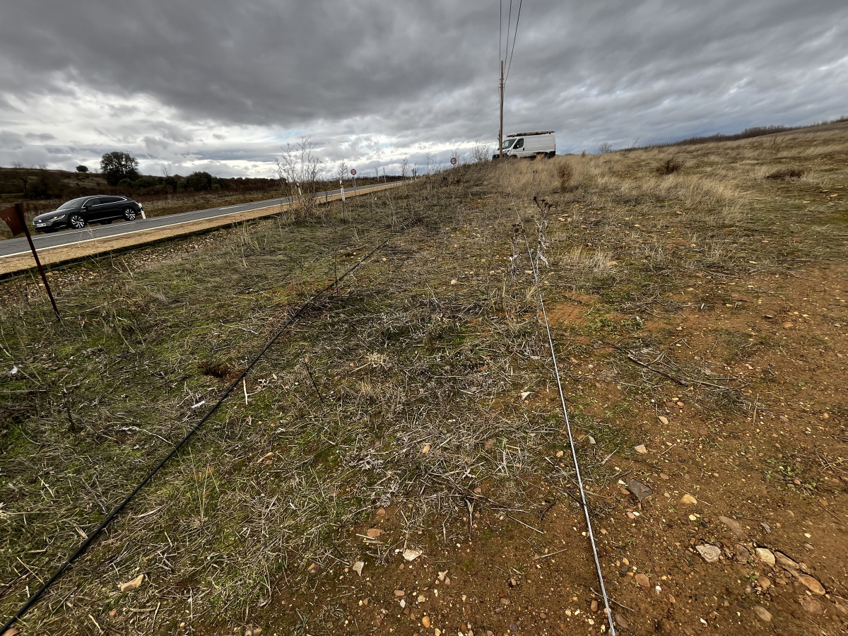 Foto 5 12 25, 14 25 17