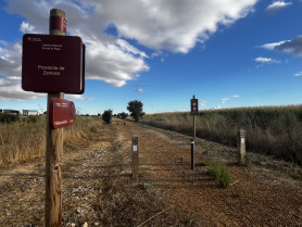 Foto 11 9 25, 19 16 45