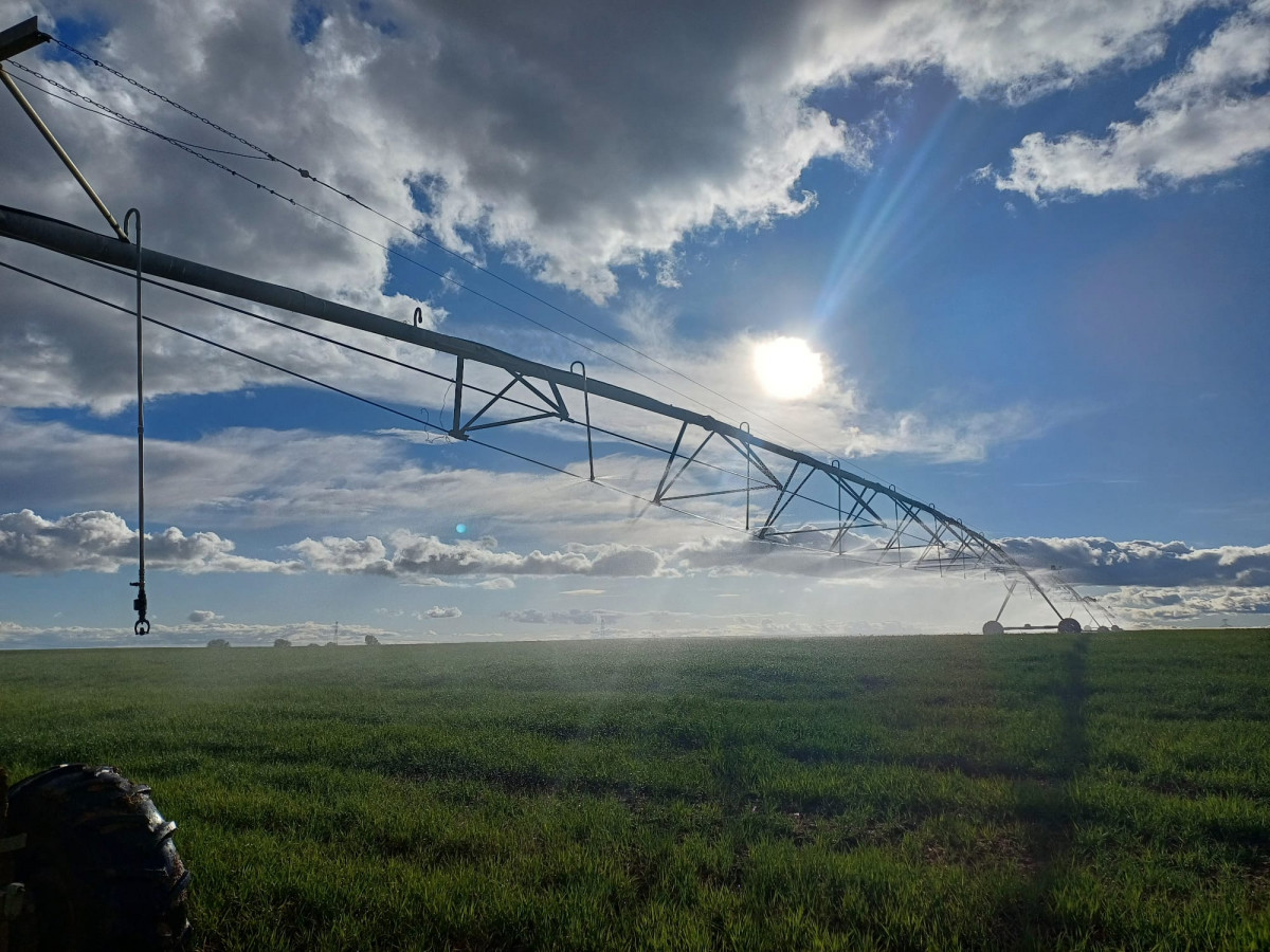 WhatsApp Image 2025 12 10 at 23.58.56