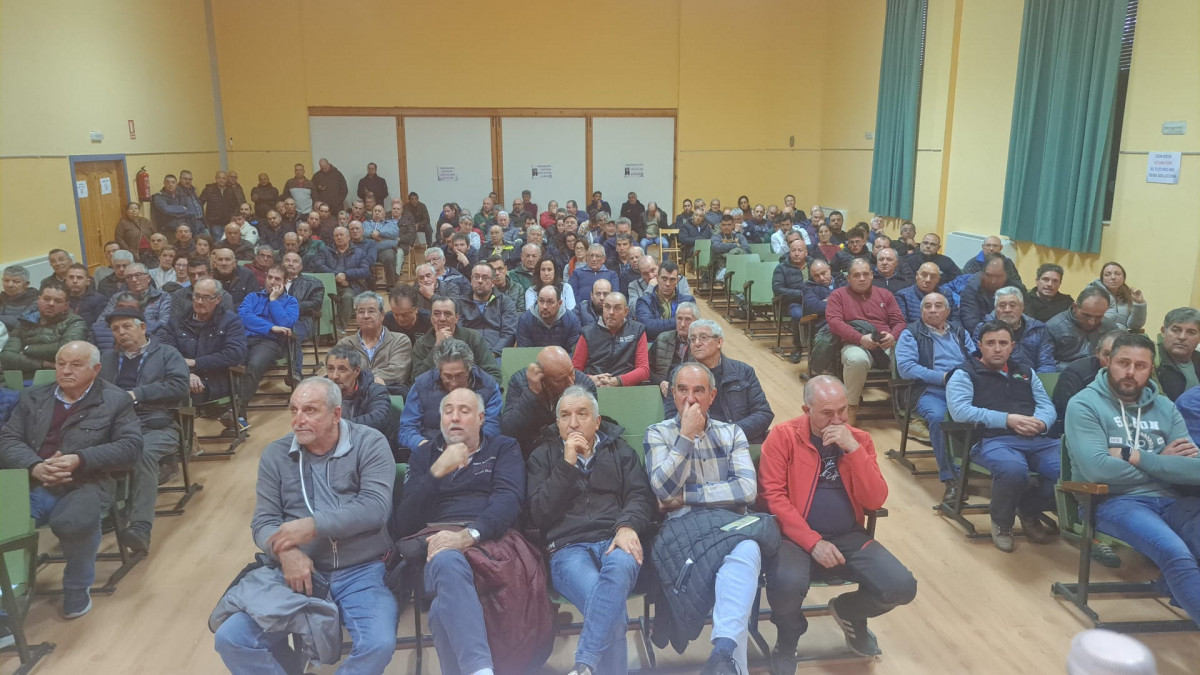 WhatsApp Image 2025 12 11 at 13.11.56