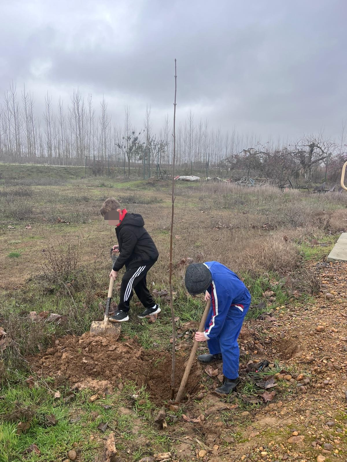 WhatsApp Image 2025 12 23 at 21.23.17