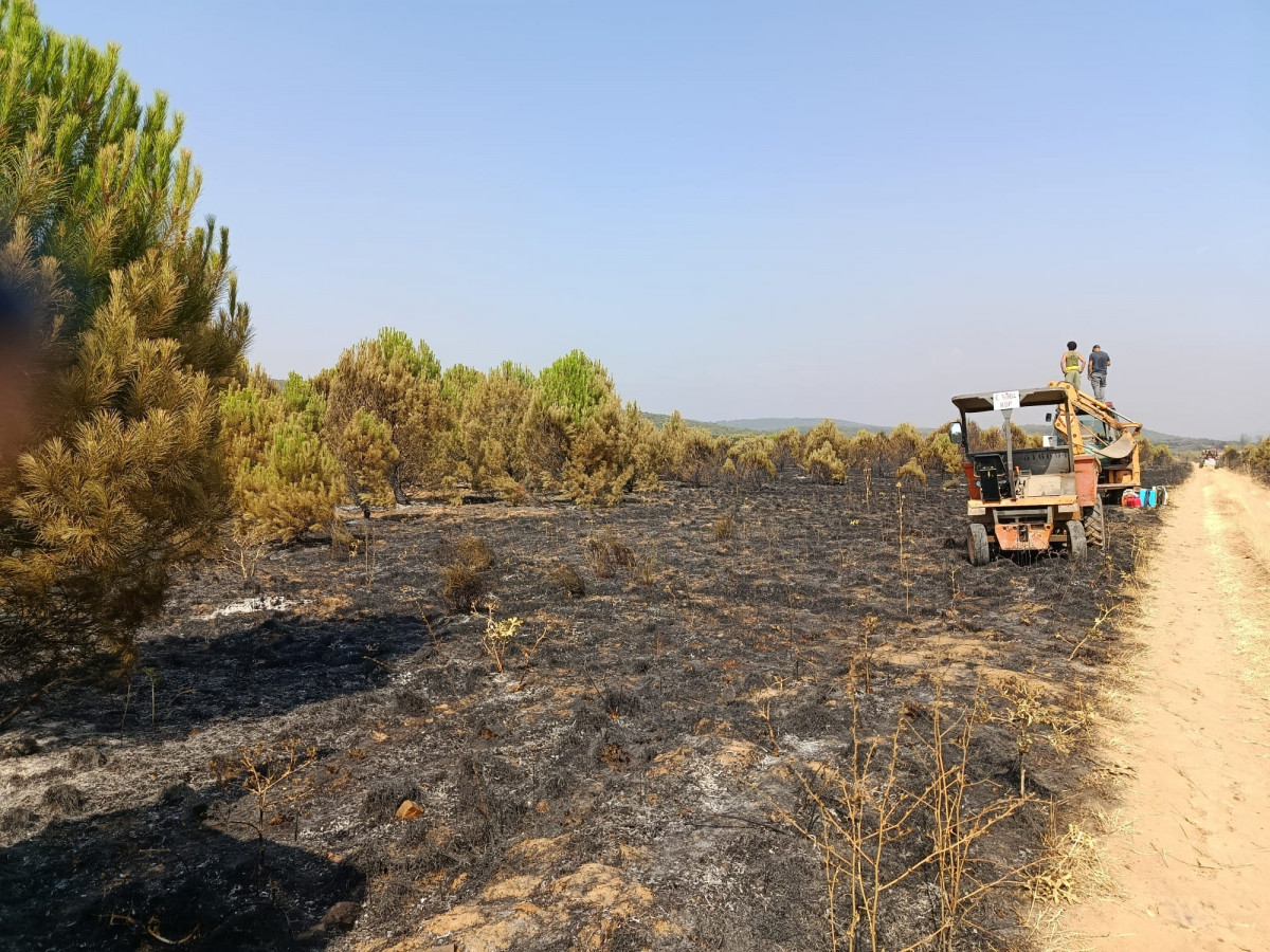 Foto 14 8 25, 21 38 39 (11) (1)